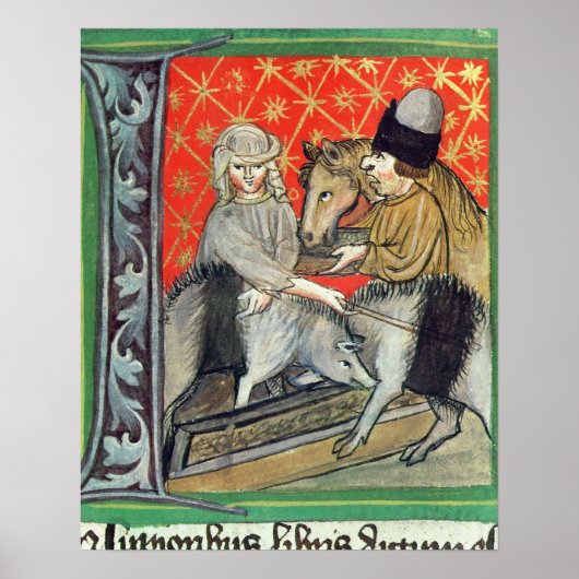 豚馬の飼育 ポスター (正面)