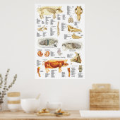 豚骨格筋解剖学的獣医図 ポスター (キッチン)