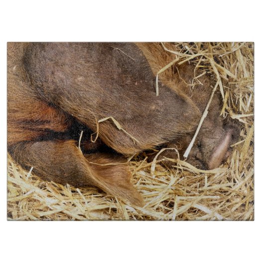 豚 カッティングボード (正面)