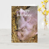 豚 カード (黄色い花)