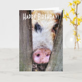 豚 カード (黄色い花)