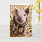 豚 カード (黄色い花)