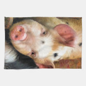 豚 キッチンタオル (横)