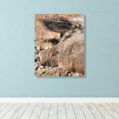 豚 キャンバスプリント (インサイチュ (ウッドフロア))