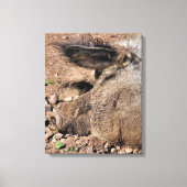 豚 キャンバスプリント (正面)