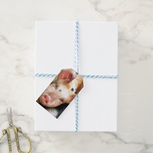 豚 ギフトタグ (より糸付き)