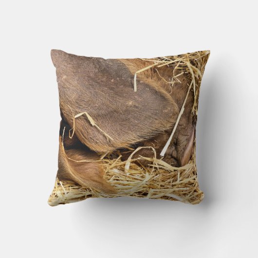 豚 クッション (裏面)