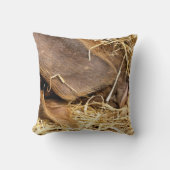 豚 クッション (正面)