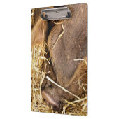 豚 クリップボード (左)