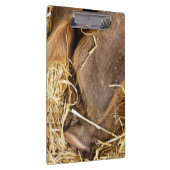 豚 クリップボード (右)