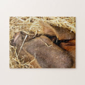 豚 ジグソーパズル (横)