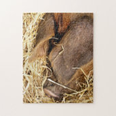 豚 ジグソーパズル (縦)