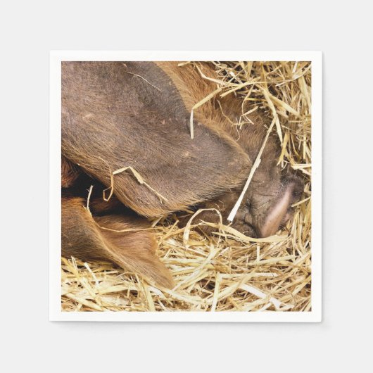 豚 スタンダードカクテルナプキン (正面)