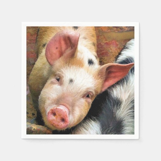 豚 スタンダードカクテルナプキン (正面)