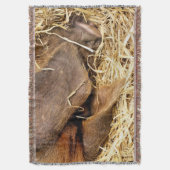 豚 スローブランケット (正面縦)