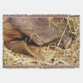 豚 スローブランケット (正面)