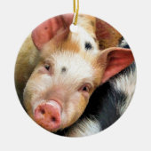 豚 セラミックオーナメント (正面)