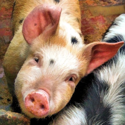 豚 セラミックオーナメント