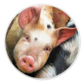 豚 セラミックノブ (正面)