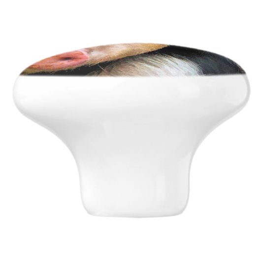 豚 セラミックノブ (側面)