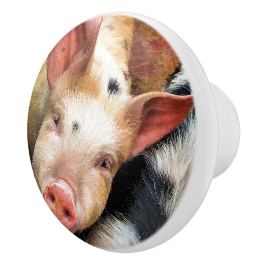 豚 セラミックノブ (右)