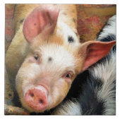 豚 タイル (正面)