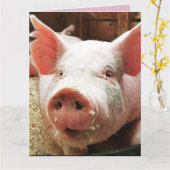豚 ハート ラブ カード (黄色い花)