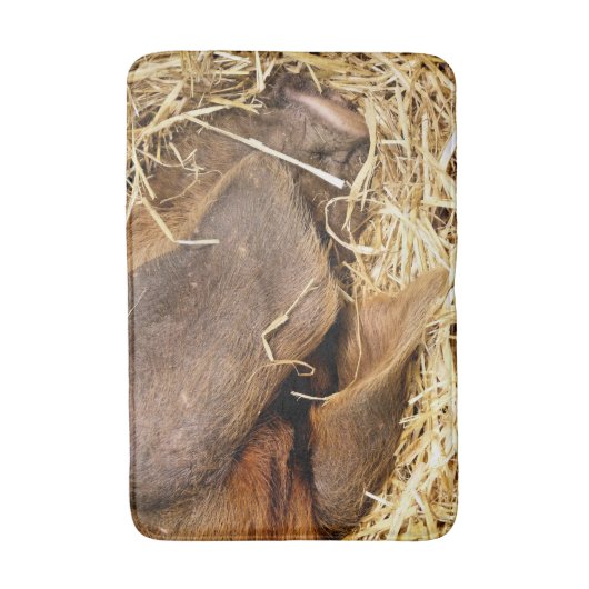 豚 バスマット (正面縦)