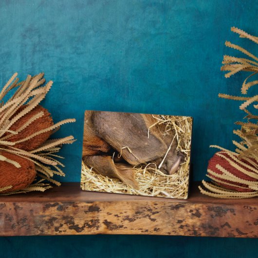 豚 フォトプラーク (側面)