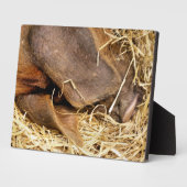 豚 フォトプラーク (側面)