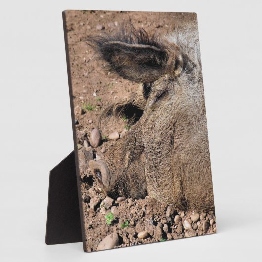 豚 フォトプラーク (側面)