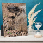 豚 フォトプラーク (側面)