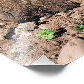 豚 フォトプリント            (角)