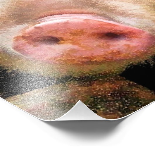 豚 フォトプリント            (角)