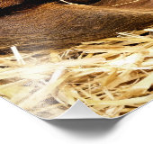 豚 フォトプリント            (角)