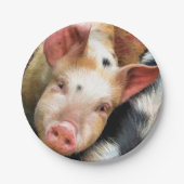 豚 ペーパープレート (正面)
