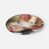 豚 ペーパープレート (アングル)