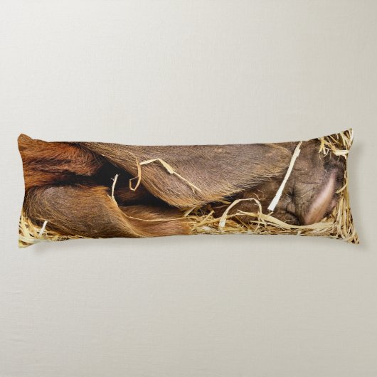 豚 ボディピロー (裏面)