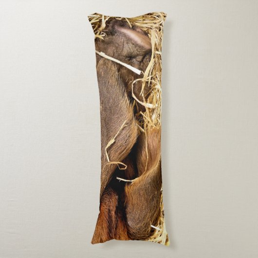 豚 ボディピロー (正面縦)