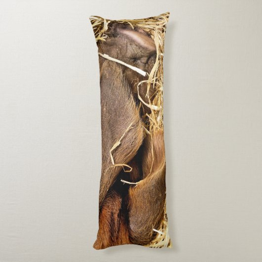 豚 ボディピロー (裏面 (縦))