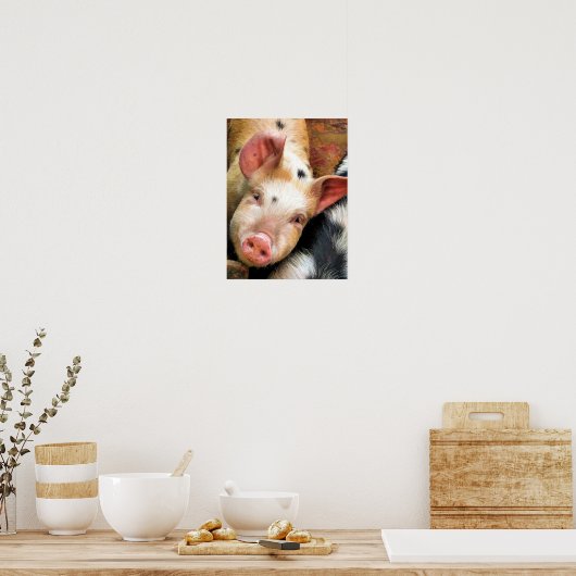 豚 ポスター (キッチン)