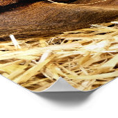 豚 ポスター (角)