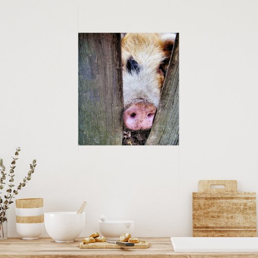 豚 ポスター (キッチン)