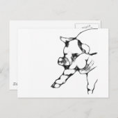 豚 ポストカード (正面/裏面)