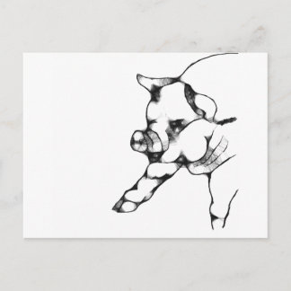 豚 ポストカード