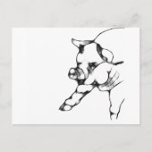 豚 ポストカード (正面)