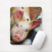 豚 マウスパッド (マウス)