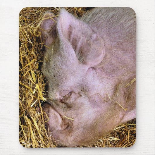 豚 マウスパッド (正面)