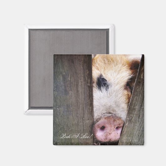 豚 マグネット (正面/裏面)