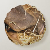 豚 ラウンドクッション (裏面)